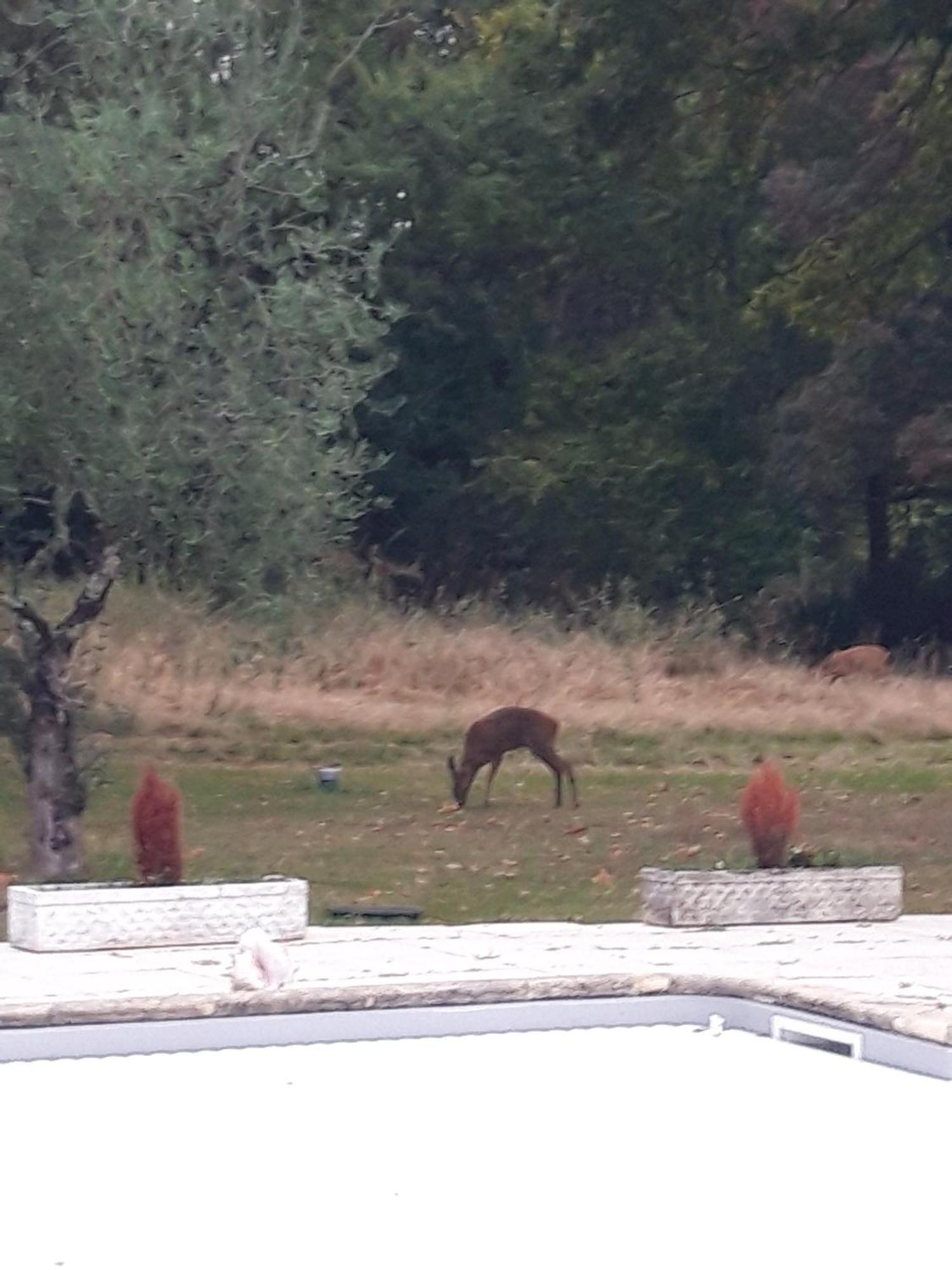 فندق Domaine Fontcouverte Fontcouverte  المظهر الخارجي الصورة